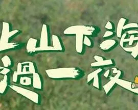 爱星来了