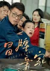 冒牌少帅