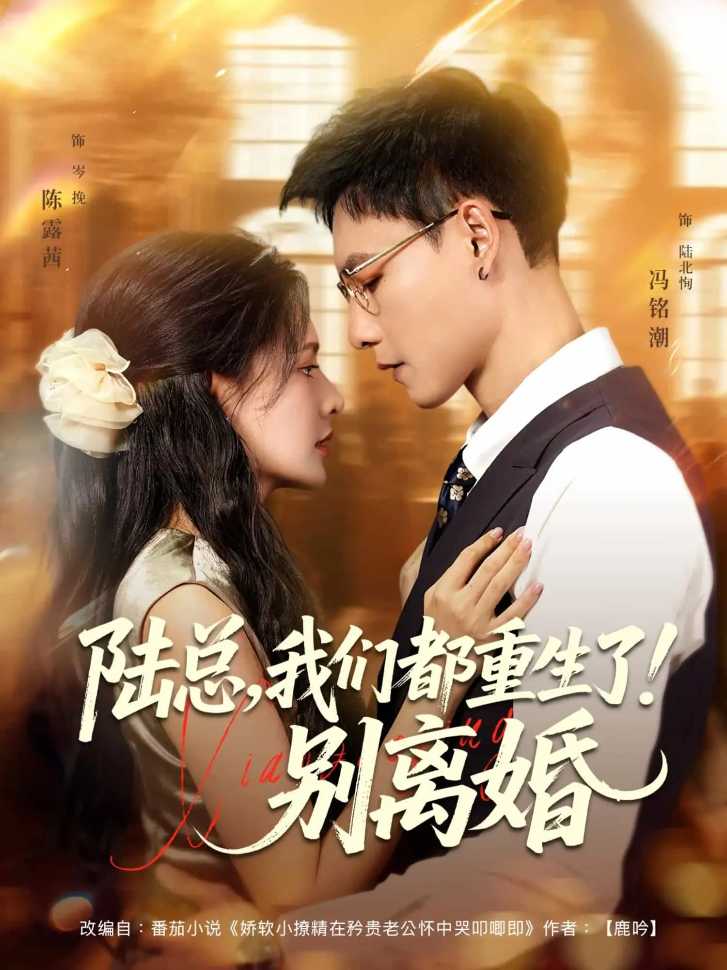 大小姐归来之唯一继承人