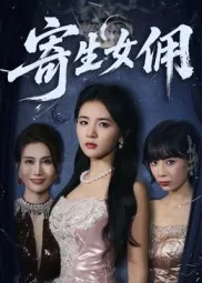岁岁长宁＆若待玉兰重开时
