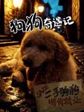 破奸锄贼