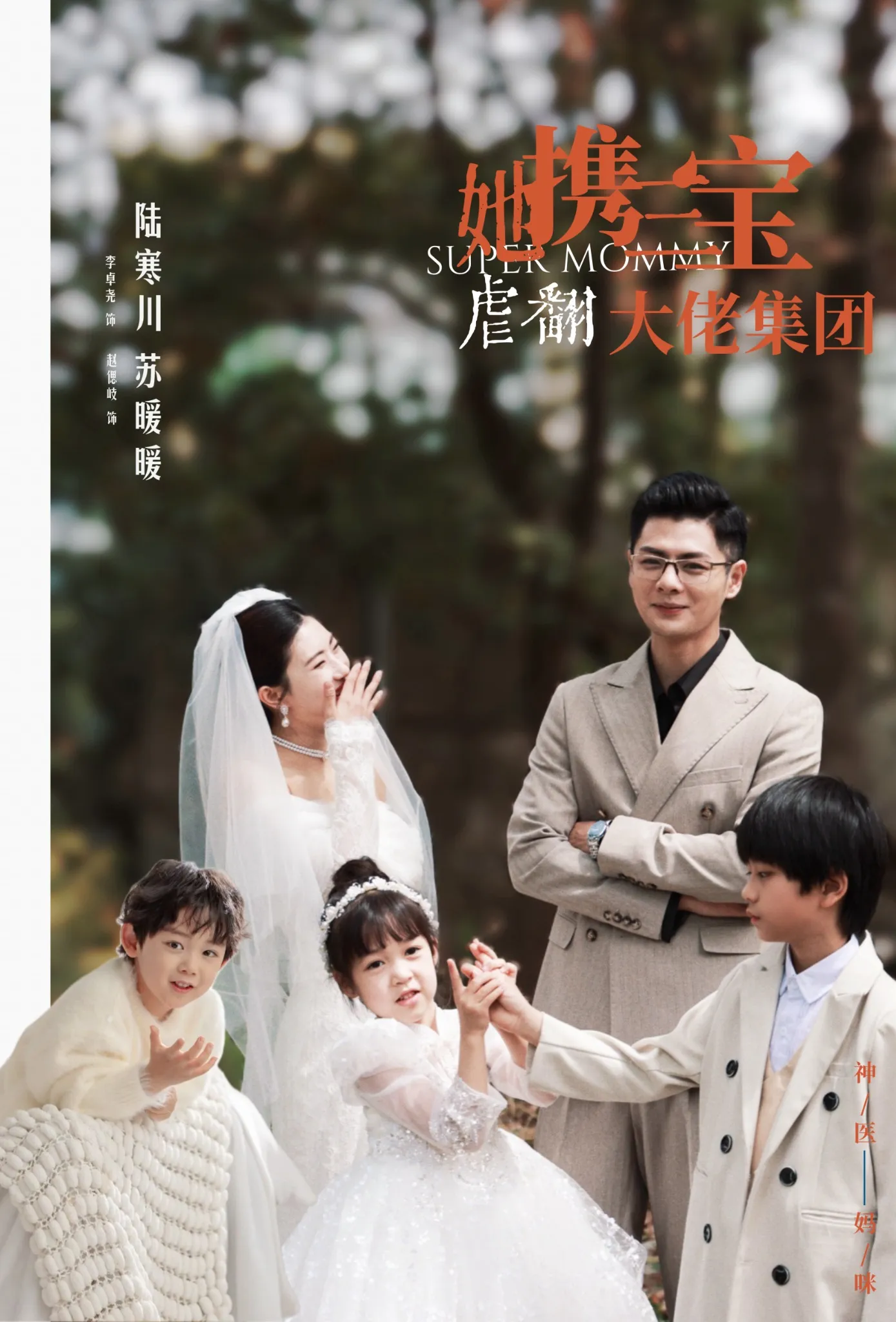 天降男神宠不停