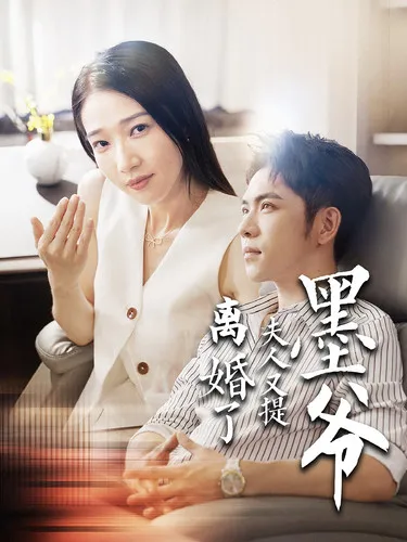 闪婚总裁嫁对人