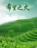 健康大问诊
