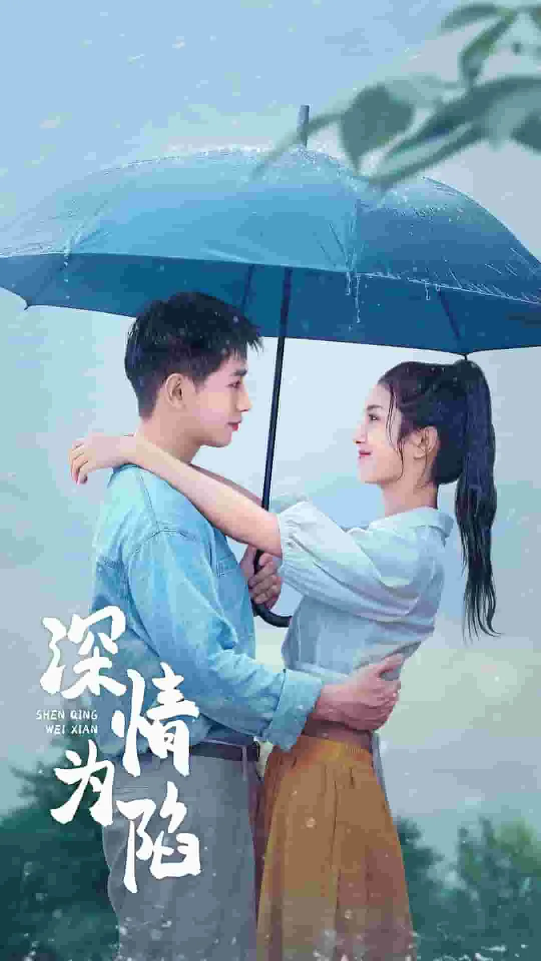 粉丝不是韭菜