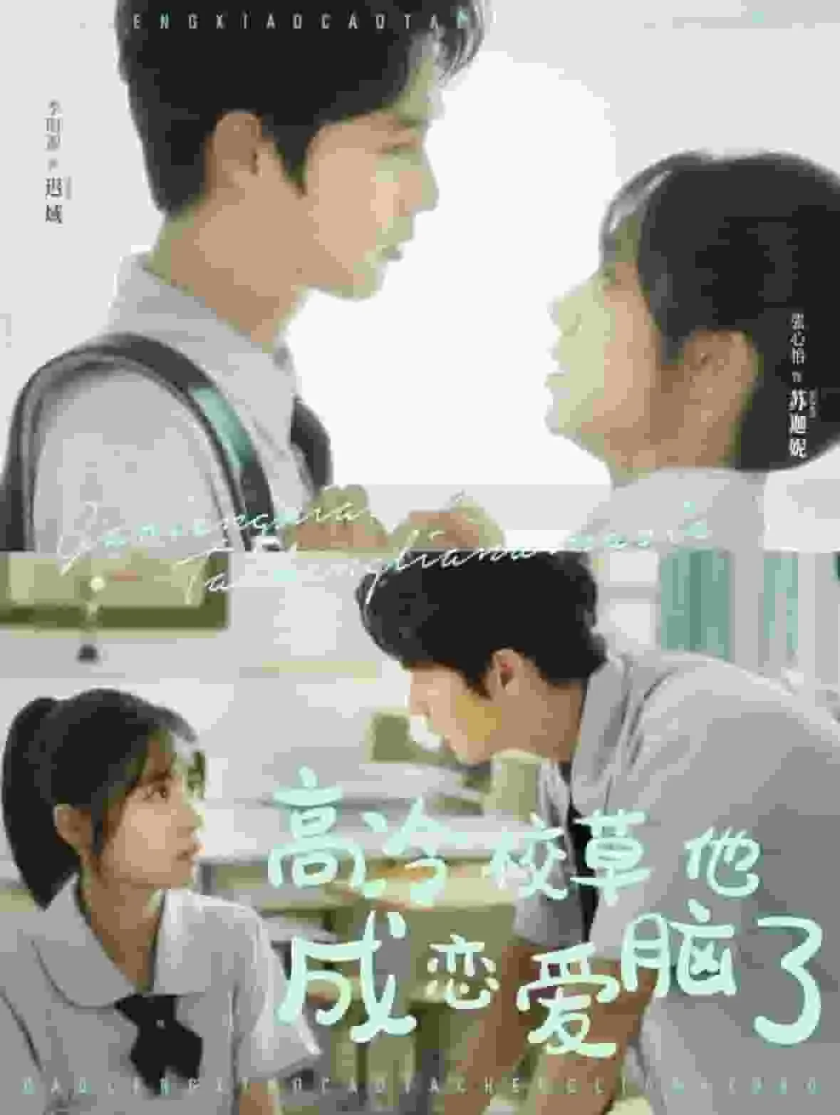 行者归来之萌宝战武林
