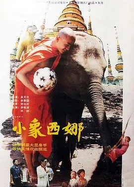 了不起的甄高贵