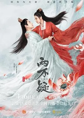 大鲨鱼