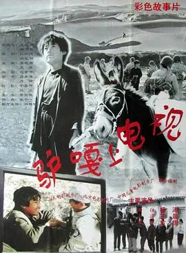 借钱专家