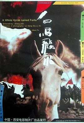 国家公诉
