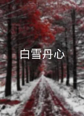 灵书妙探第四季