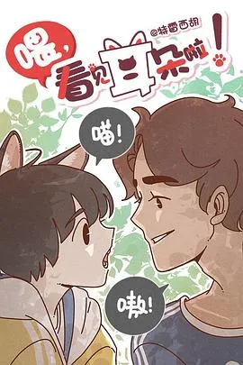 圣斗士星矢 圣斗少女翔