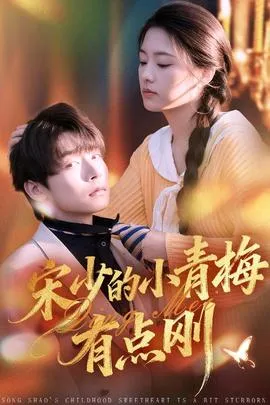 魂穿霸婿