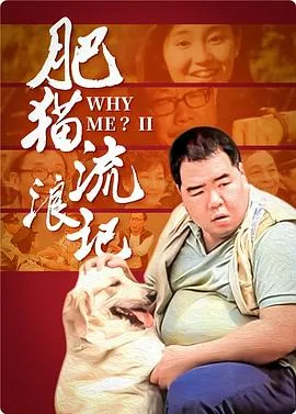 肥猫流浪记国语