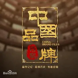 中国品牌档案