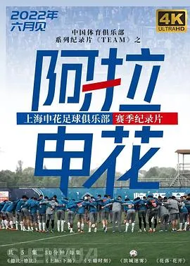 阿拉申花
