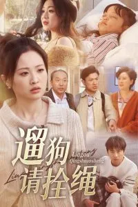 404航班