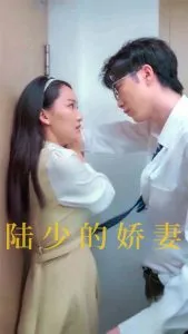 以我深情祭余生