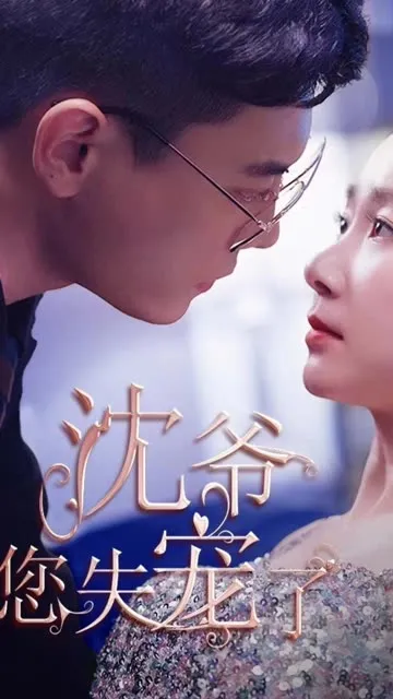 蓄意闪婚