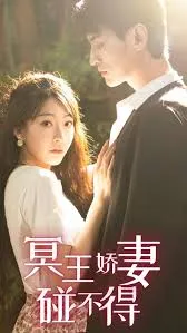 少帅娇妻不可欺