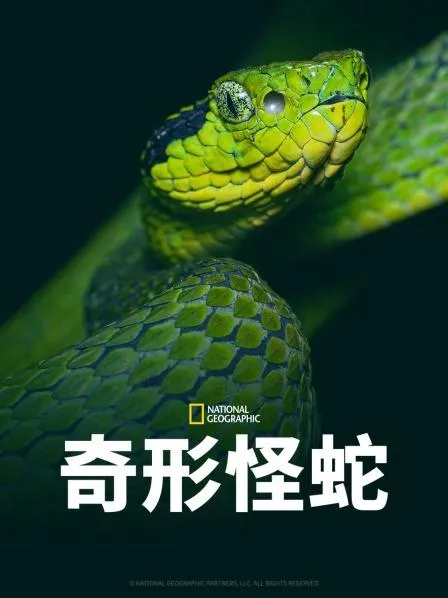 古墓新证：玛丽·罗斯的骨架