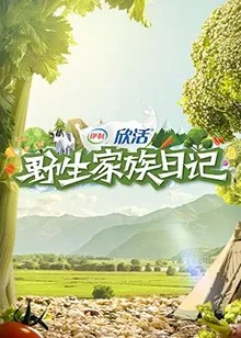 湖南卫视乘风破浪