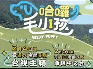 菜鸟老板来上工