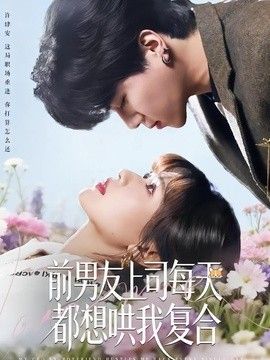 前男友上司每天都想哄我复合
