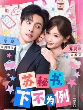 苏秘书，下不为例