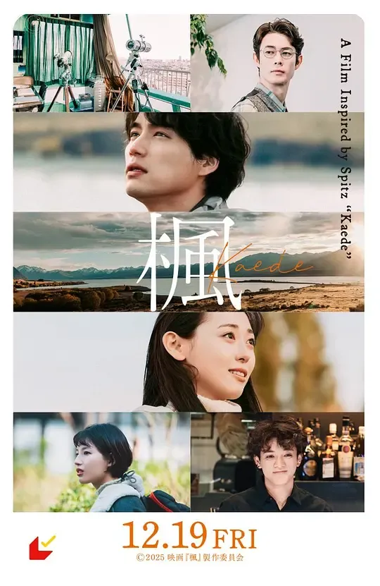 枫楓