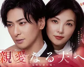 致亲爱的丈夫 完美妻子的谎言