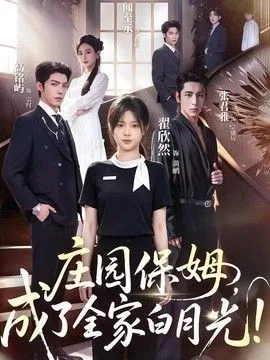 镜花与水月