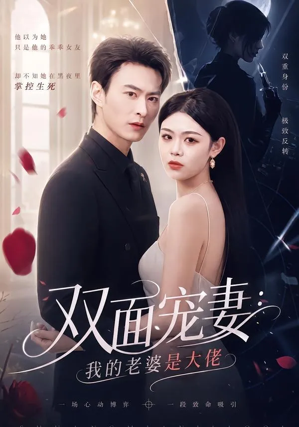双面宠妻-我的老婆是大佬